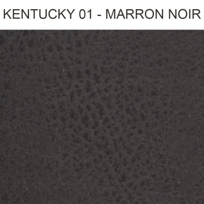 Simili cuir Kentucky marron noir 01 Froca