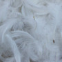 Rembourrage plumes d'oie blanches fines Drouault N°154 1kg