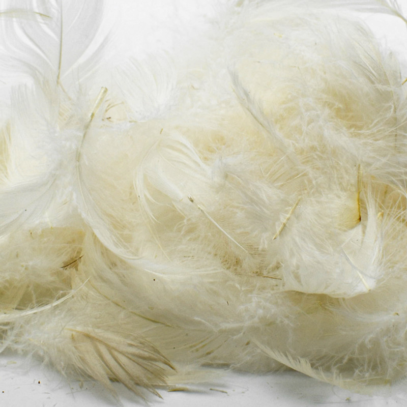 Plumes d'oie blanche fines au kg pour coussins, oreillers, couettes