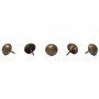 500 Clous tapissier Vieilli Bronze Moyen Perle Fer 16 mm